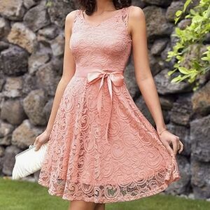 Dressystar Women Floral Lace V Neck Sleeveless Dress in Blush Size M